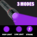 Zoomable UV Flashlight - Rechargeable Pet Detector