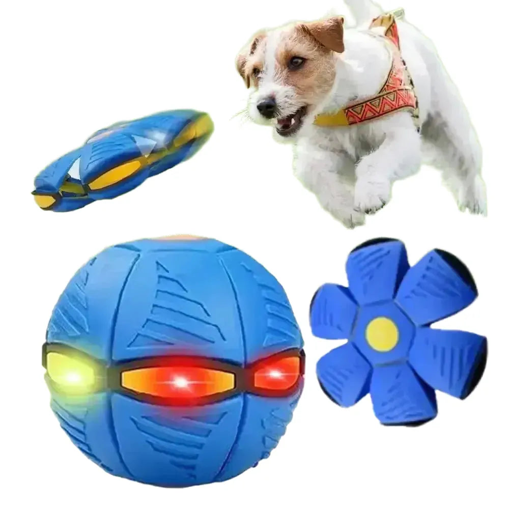 Dog Toy for All Sizes Enhances Exercise — product view 1