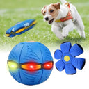 Dog UFO Ball Enhances Interaction and Exercise for All Sizes