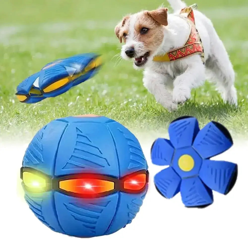 Dog UFO Ball For All Sizes Enhances Interaction And Exercise