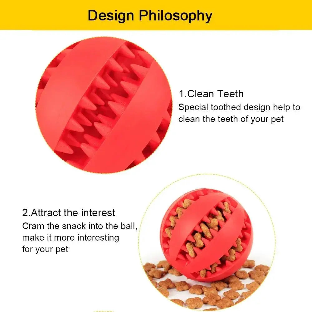 Interactive Rubber Dog Toy For Dental Health And IQ Training