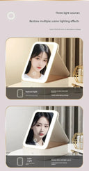 Travel Makeup Mirror With LED Light