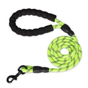 Strong Leashes for Dogs with Soft Handle and Reinforced Design