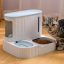 Large Cat Feeder Water Dispenser Wet Dry Separation Bowl