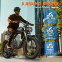 1500W Electric Fat Tire Bike Adult