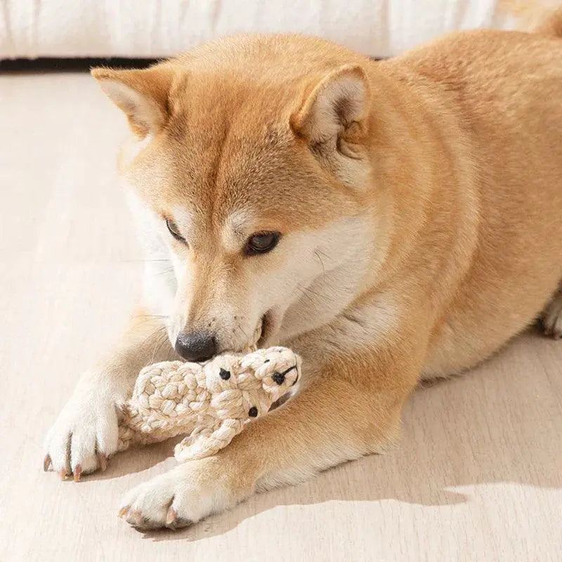 Cotton Rope Carrot Shape Dog Chew Toy For Teeth Cleaning