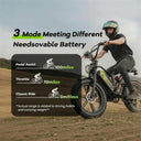 Cybervelo 1000W Fat Tire Electric Bike