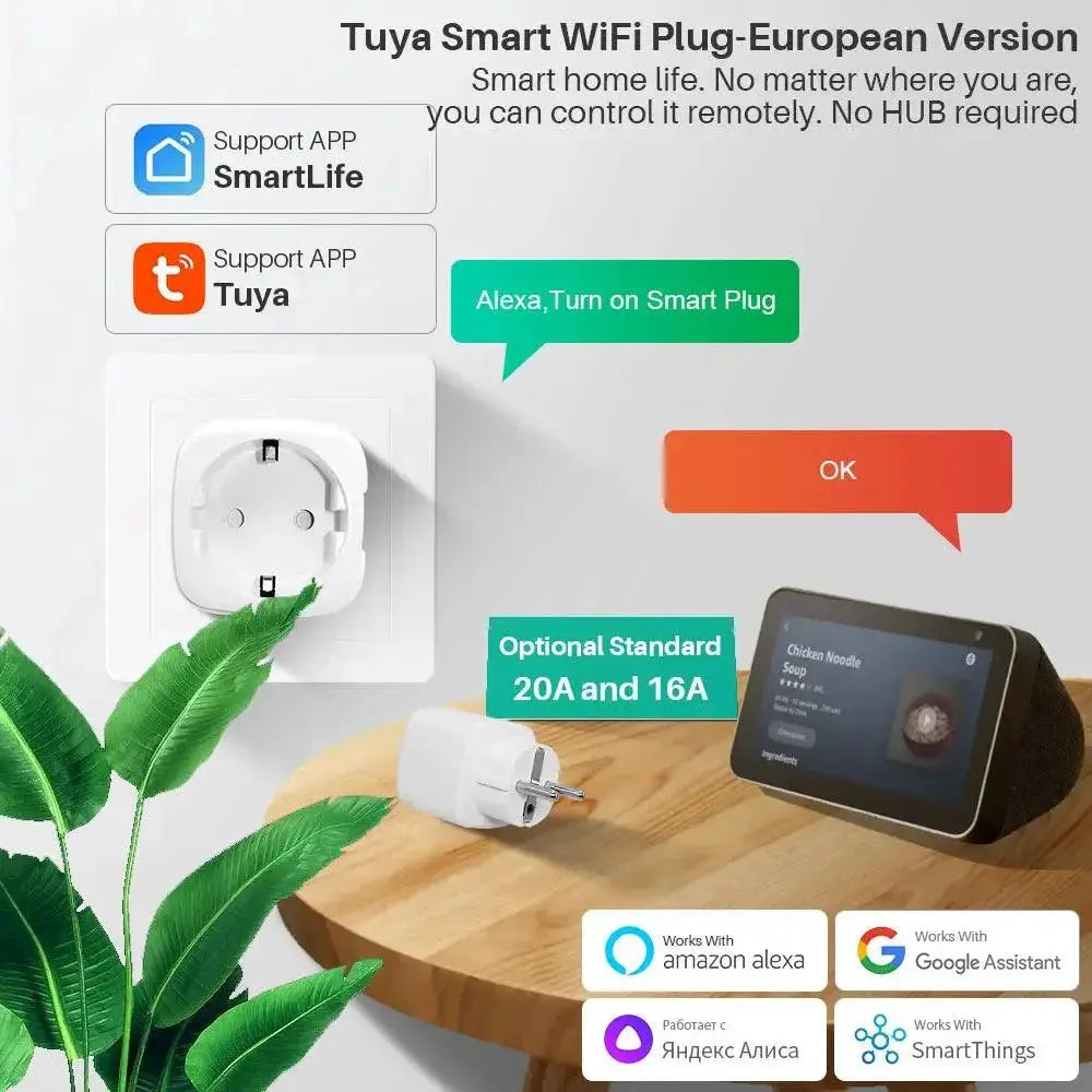 Smart WiFi Plug With Power Monitor And Alexa Support