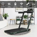 Two In One Portable Treadmill And Walking Pad For Desk Bluetooth