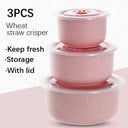 Wheat Straw Bowl Set - Eco Friendly Food Storage
