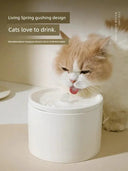Ceramic Cat Water Fountain for Hydration