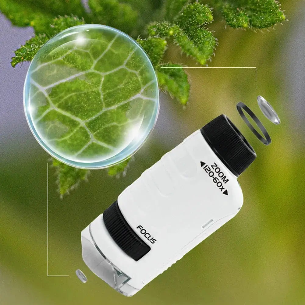 Educational Handheld Microscope Kit 60 To 120x LED For Kids