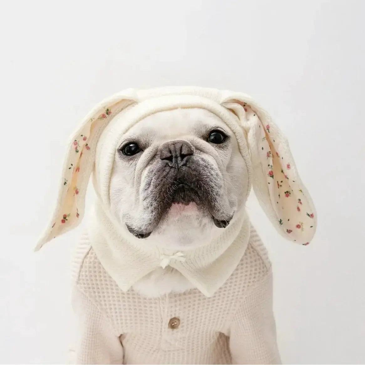 Cute Rabbit Ears Pet Knitted Hat For Autumn And Winter