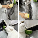 Cat Scratcher Massager for Cats Grooming Brush and Dogs