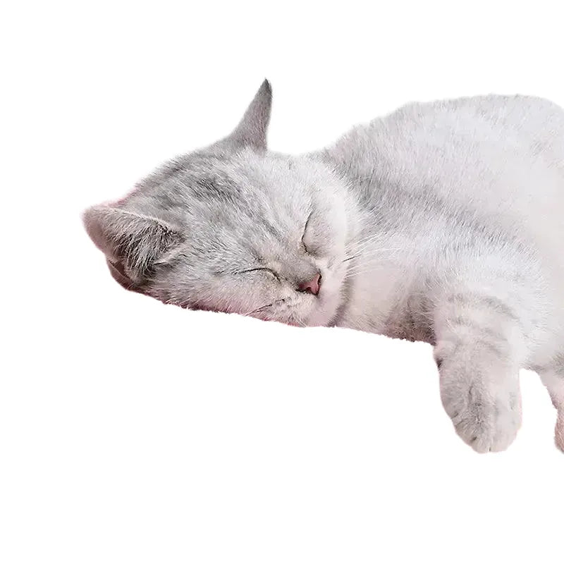 Deep Sleep Cat Pillow for Neck Support — WHITE