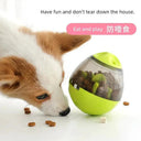 Mental Boost Smart Treat Ball for Dogs