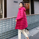 Detachable Hood Fitted Puffer Jacket