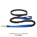 High Quality Hands-Free Dog Leash with Dual Bungee for Large Dogs