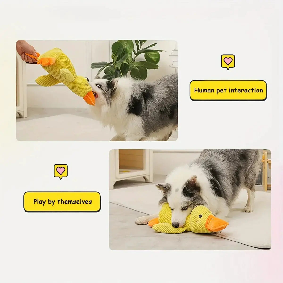 Large Duck Design Pet Grinding Teeth Squeaky Plush Toy