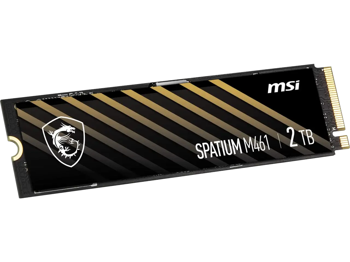 MSI M461 M.2 2280 2TB PCIe 4.0 NVMe SSD