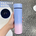 500ML Insulated Mug Thermos Tea Water Separation Temperature Display On The Go