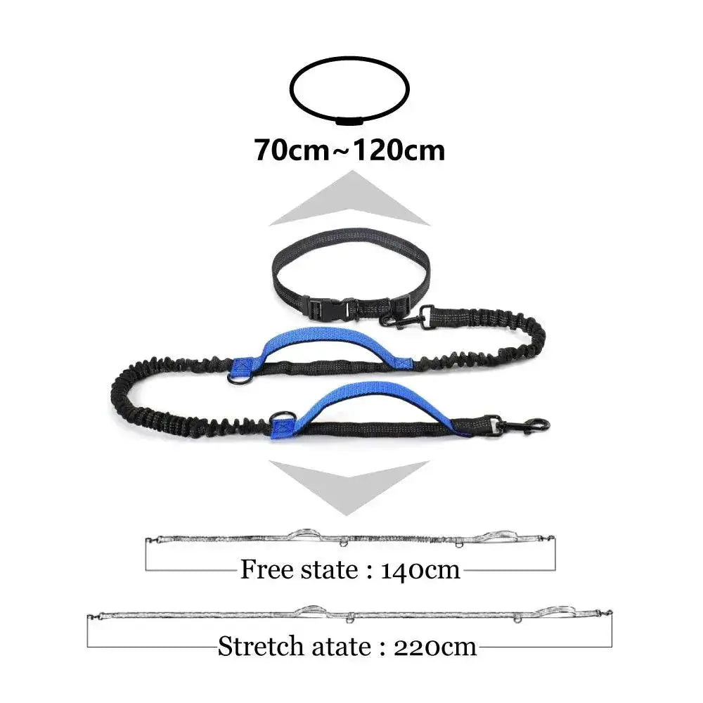 Hands Free Dog Leash With Dual Bungee For Large Dogs Outdoor