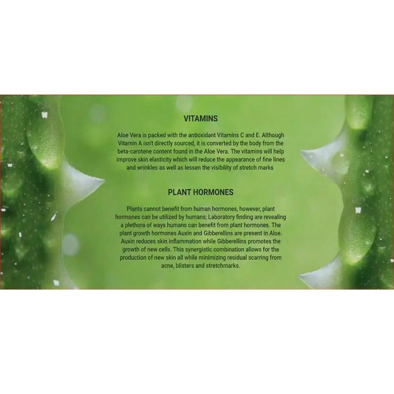 Aloe Vera Gel Healing Moisturizer For All Skin Types