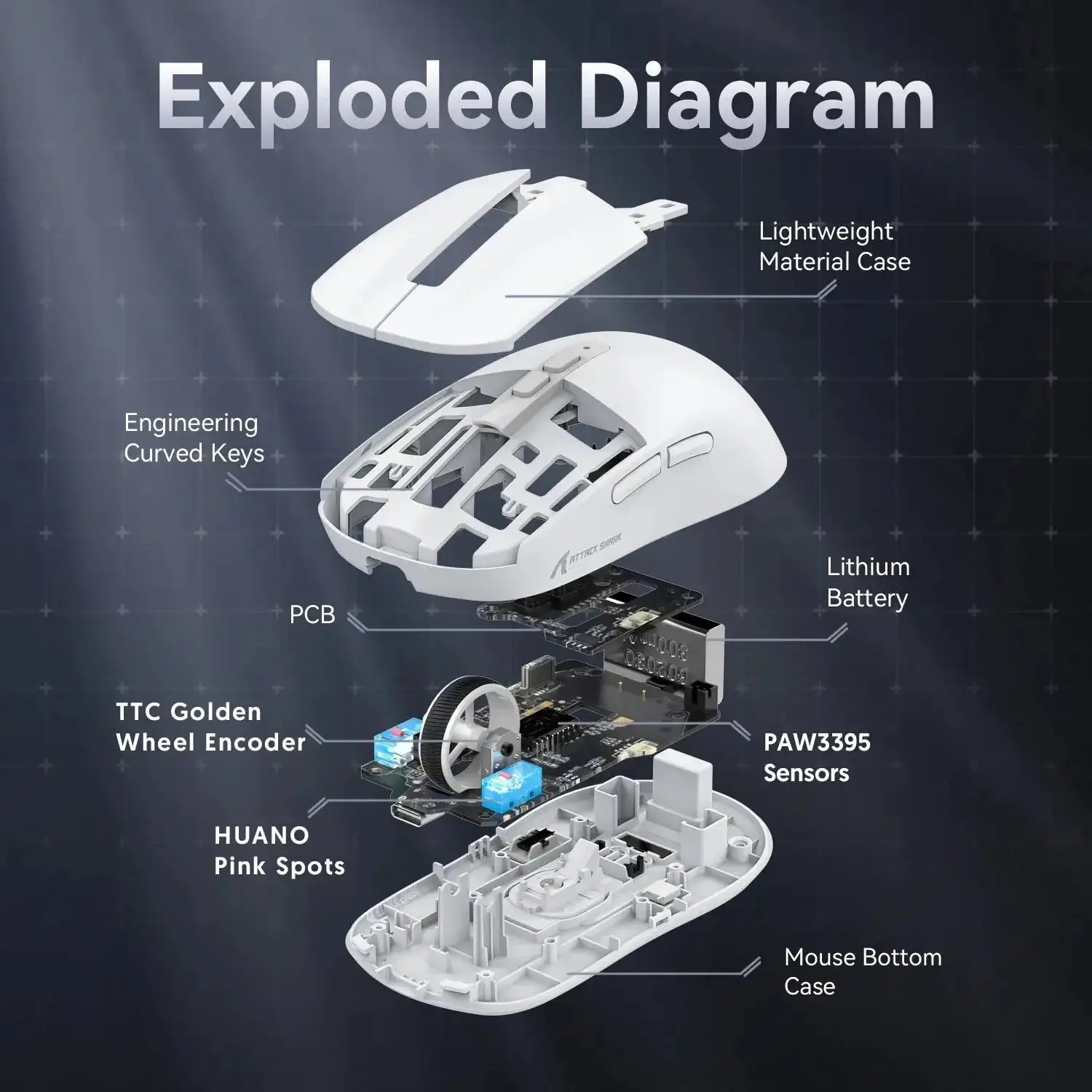 Lightweight Wireless Gaming Mouse 3 Mode Wired 2.4G BT5.2 - OurLum.com