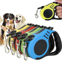 Pet Leash for Safe Walks Everyday