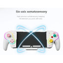 Nintendo Switch Oled Gamepad Control