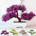 Maintenance Free Bonsai for Office Desk