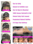 Natural Honey Blonde Highlight Wig