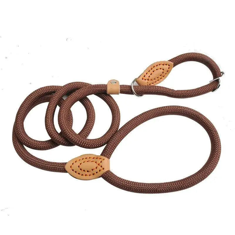 Heavy Duty Braided Rope Dog Training Leash For Medium Dogs