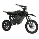 2000W Fat Tire Off Road Riders