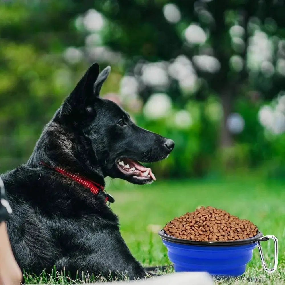Foldable Silicone Pet Bowl Travel Friendly Portable Feeder