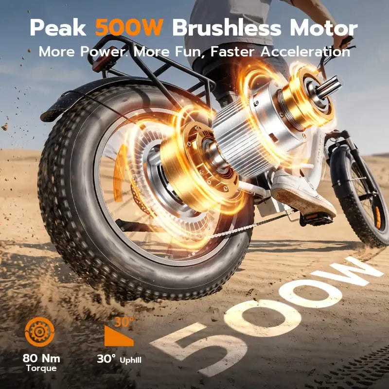 F66 Low-Speed Electric Bicycle, 15.53MPH E-Bike, 500W Peak Motor, 48V13Ah Battery, 20-Inch Fat Tire, Color LCD Display for Urban & Outdoor Riding