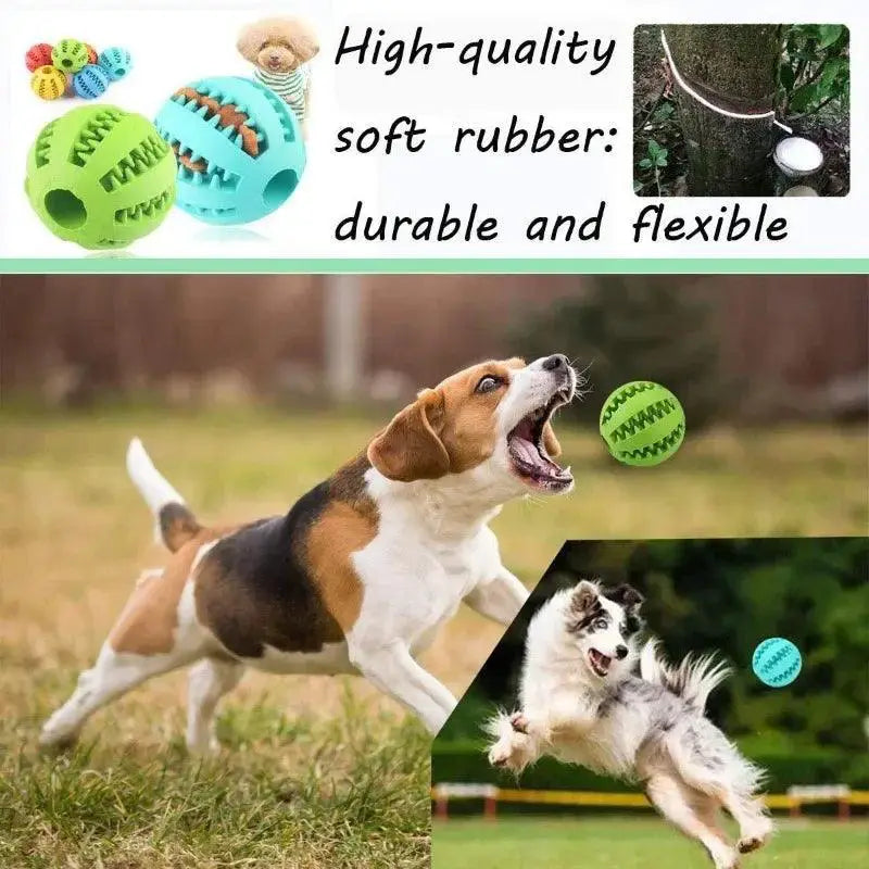 Eco Friendly Rubber Dog Dental Ball Chew Toy Snack Dispenser