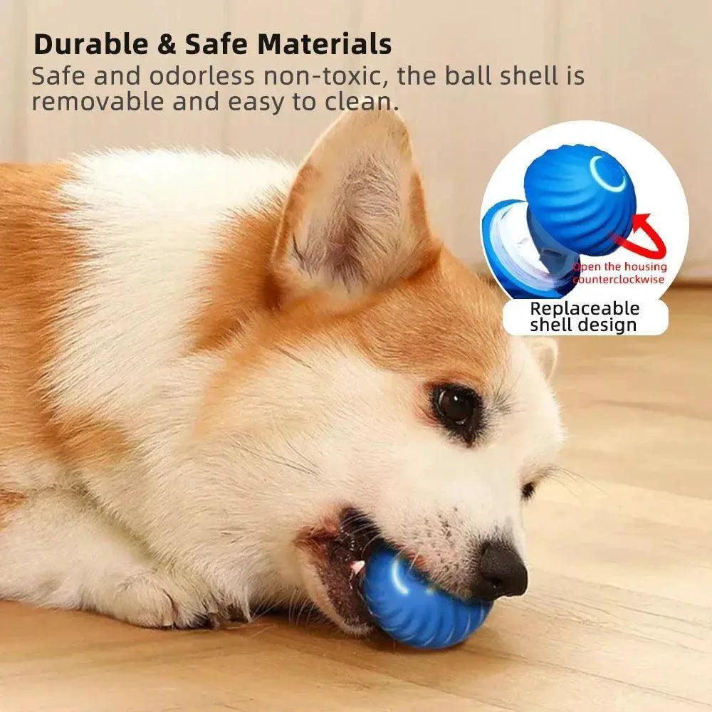 Interactive Smart Dog Toy Ball USB Bouncing Fun for Pets