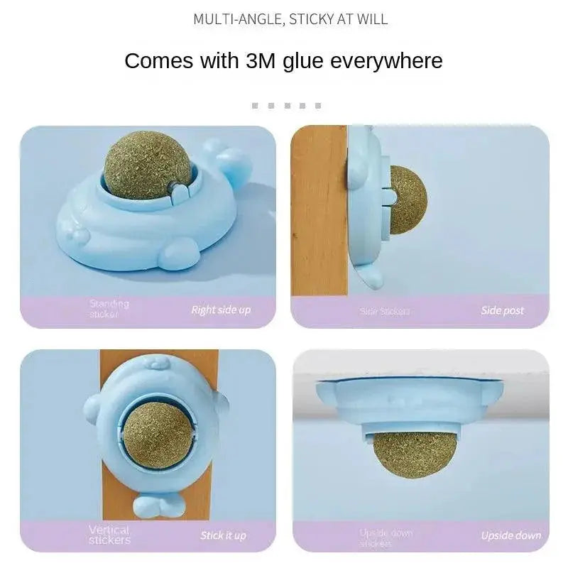 Catnip Rotatable Wall Ball Toy For Healthy Teeth Cleaning