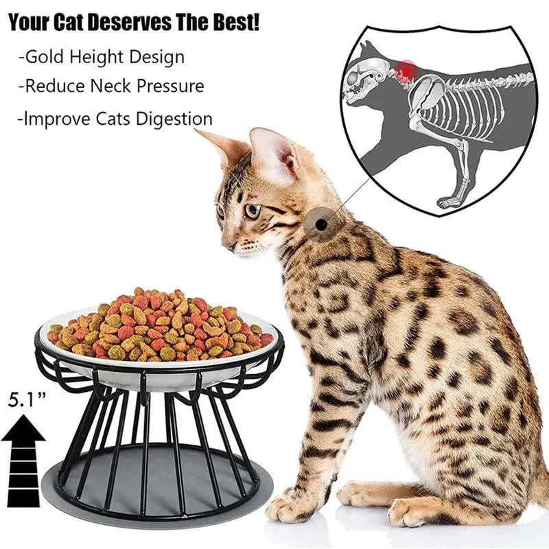 Elevated Ceramic Pet Feeder With Metal Stand For Meals