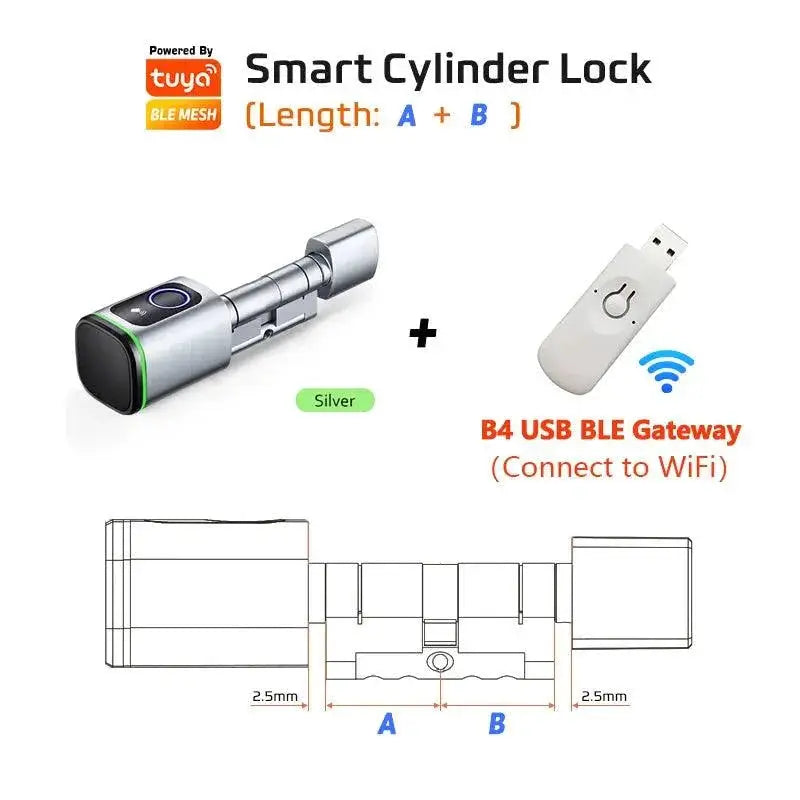 RayKube Door Lock Remote Access — Tuya Silver