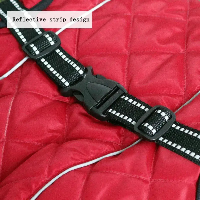 Labrador Winter Jacket Waterproof Reflective Coat For Dogs