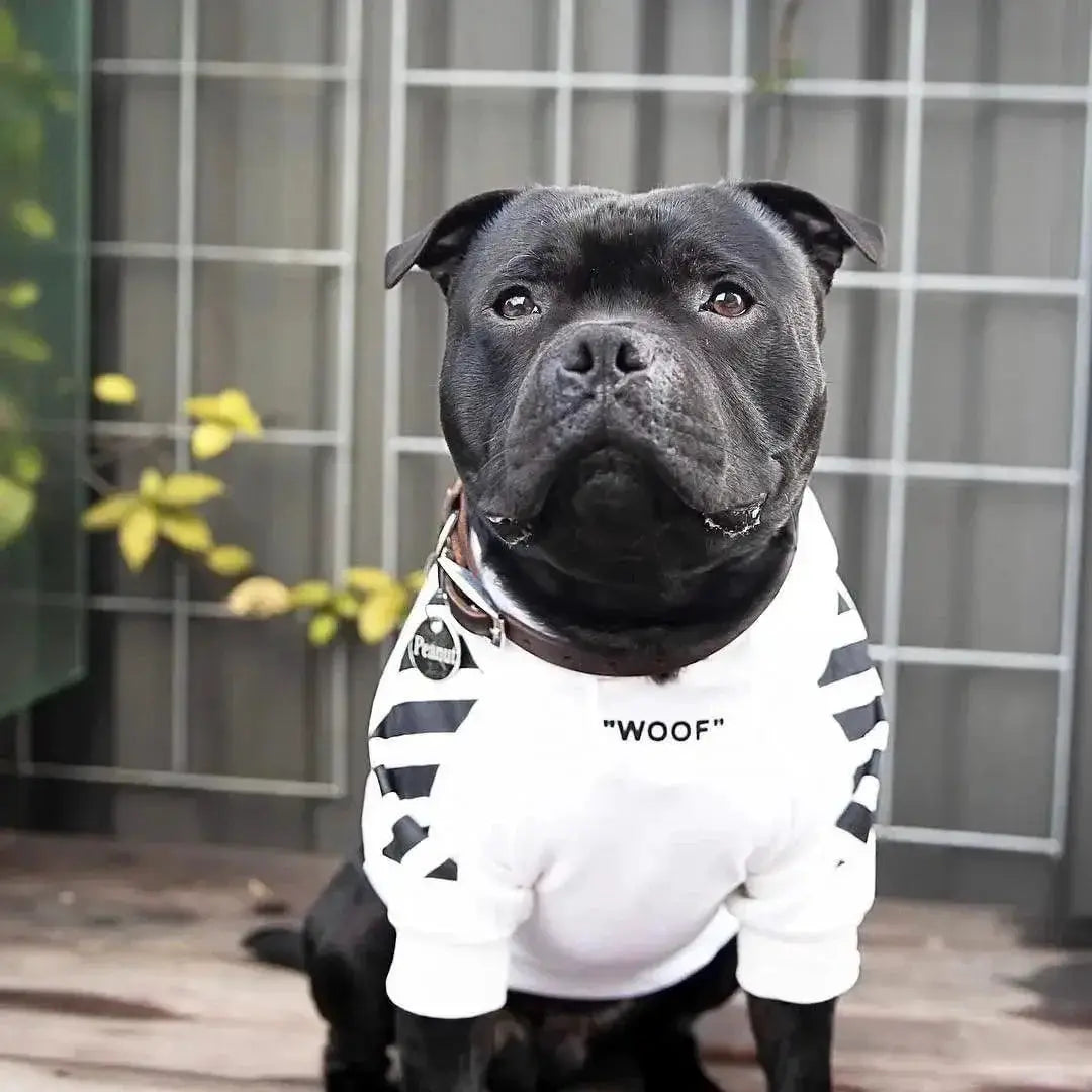 Adidog Stripe Hoodie For French Bulldog Pet Clothes