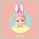Collectible Sonny Angel Blind Box Toys