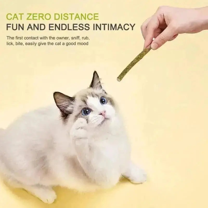 Silvervine Cat Sticks Anxiety Relief and Oral Health