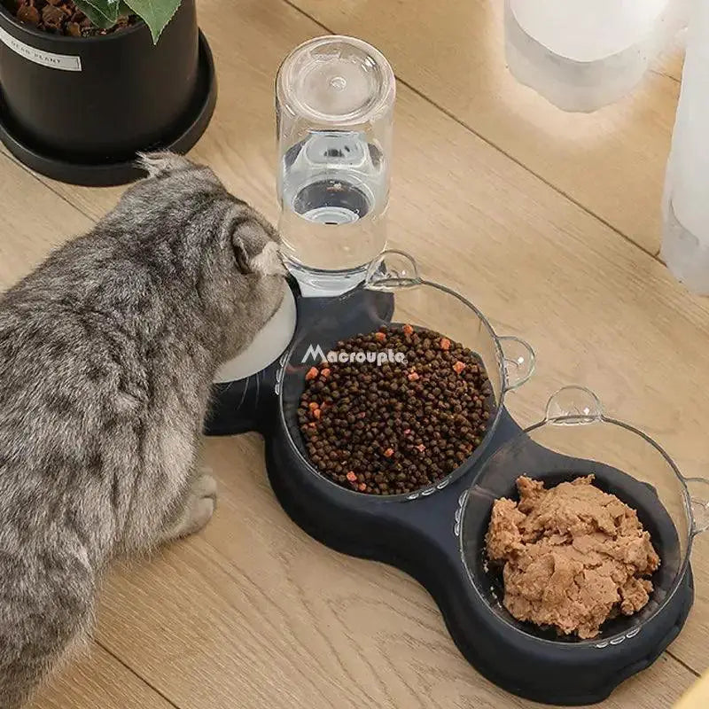 Automatic Pet Feeder and Water Fountain Double Bowl for Cats
