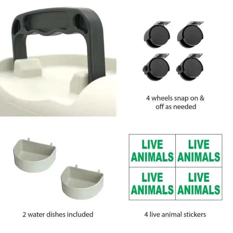 Iata Approved Plastic Dog Kennel Carrier Durable And Secure