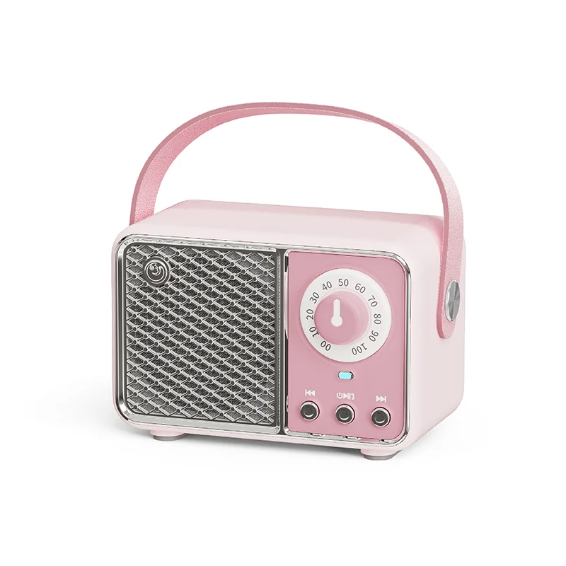 Bluetooth FM Radio Audio Speaker