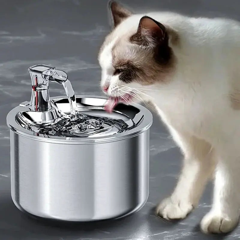 2L Stainless Steel Pet Water Dispenser Cat Fountain