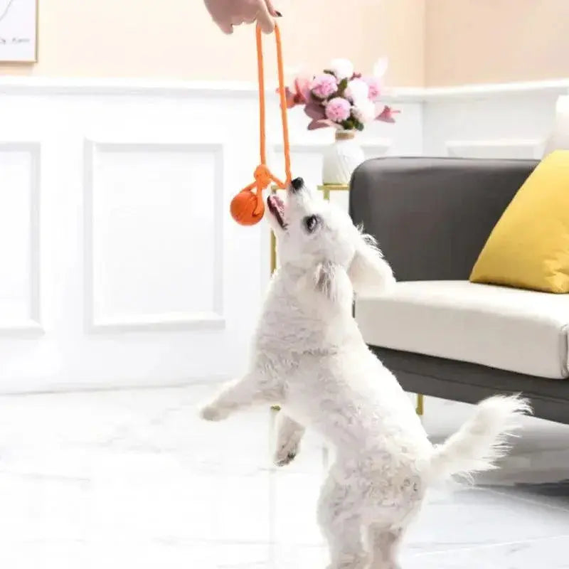 Indestructible Rubber Ball Chew Toy For Large Dogs Durable